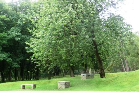 CIMG8286 Sep 5 2017 Vimy Ridge today is tree lined again