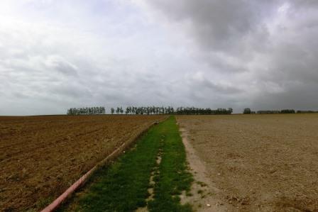 CIMG8522 Sep 6 2017 grass path leading to Grandcourt Road Cemetery