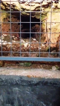 IMG_20170905_104523941 Tunnel used by Black Watch