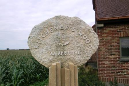 CIMG8880 Sep 10 2017 Kitcheners Wood Memorial close up of acorn