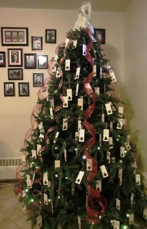 CIMG4942 Nov 24 2020 Legion Veterans tree