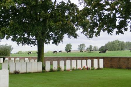 CIMG8674 Sep 9 2017 Chester Farm Military Cemetery surrounded by cows